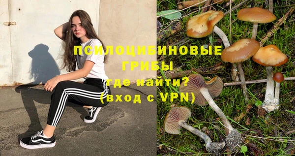 тгк Баксан