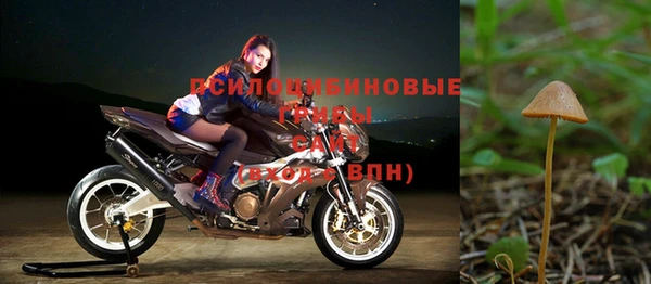 тгк Баксан