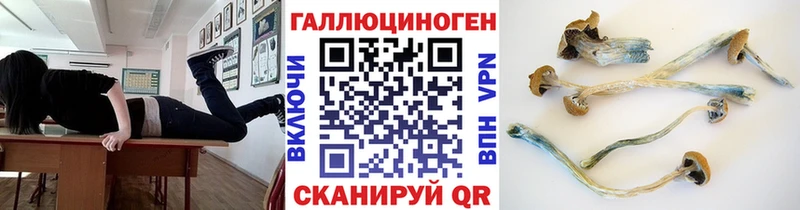 Псилоцибиновые грибы Cubensis  Ува 